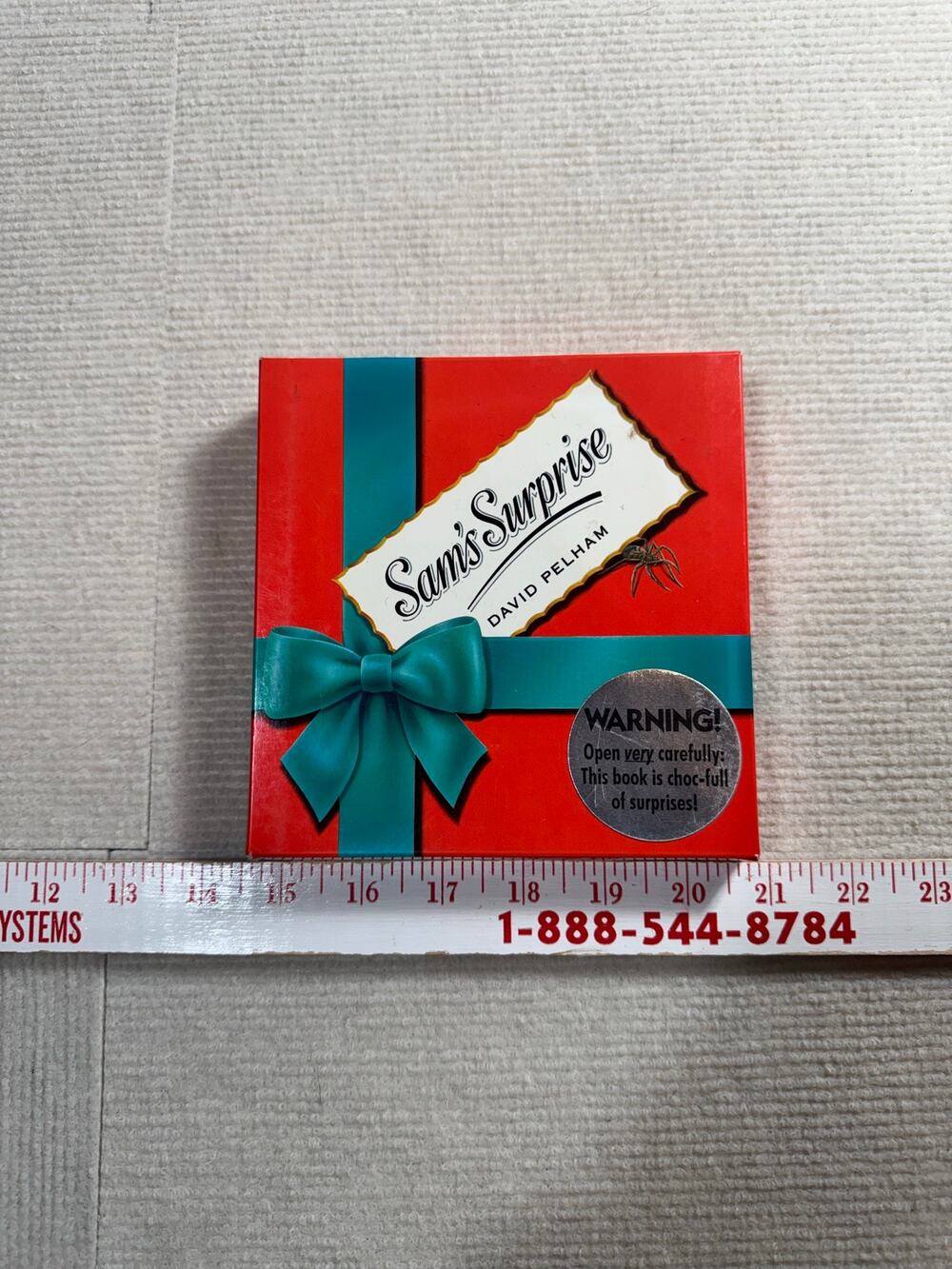 Sam's Surprise by David Pelham - Christmas Pop Up Book - Fair Condition, Read